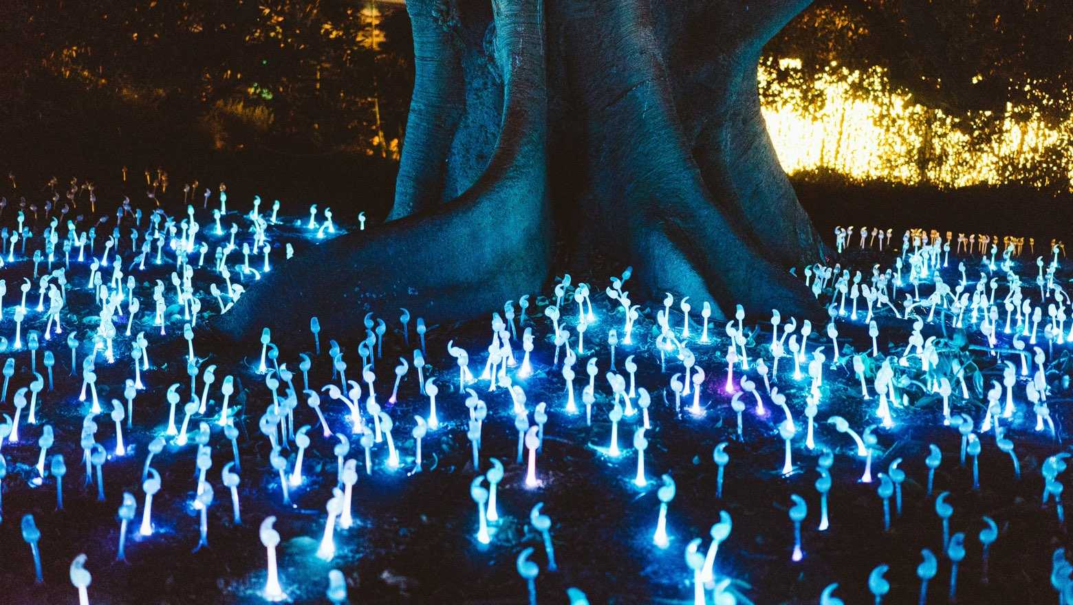 What is Speculative Fiction? Liminal Pages